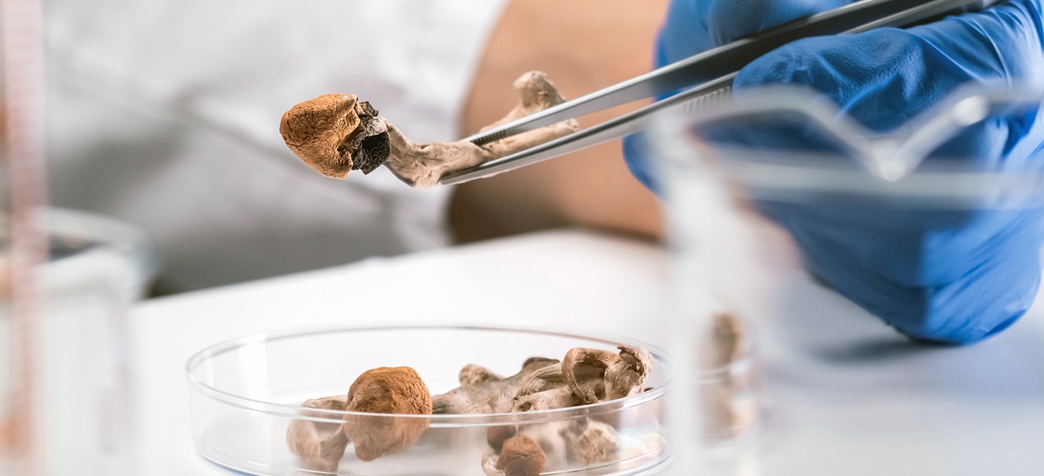 can psychedelics treat mental health disorders